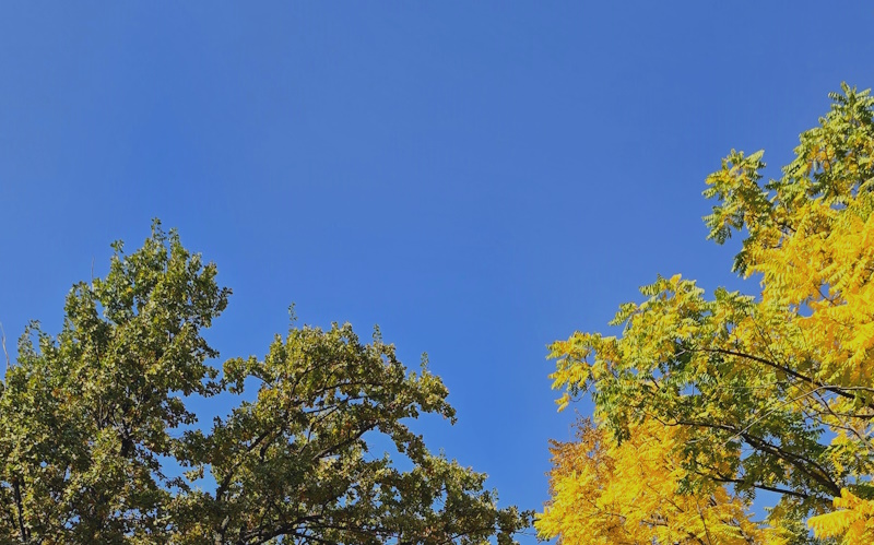 Қазақстанға -10°С дейін аяз қайтады