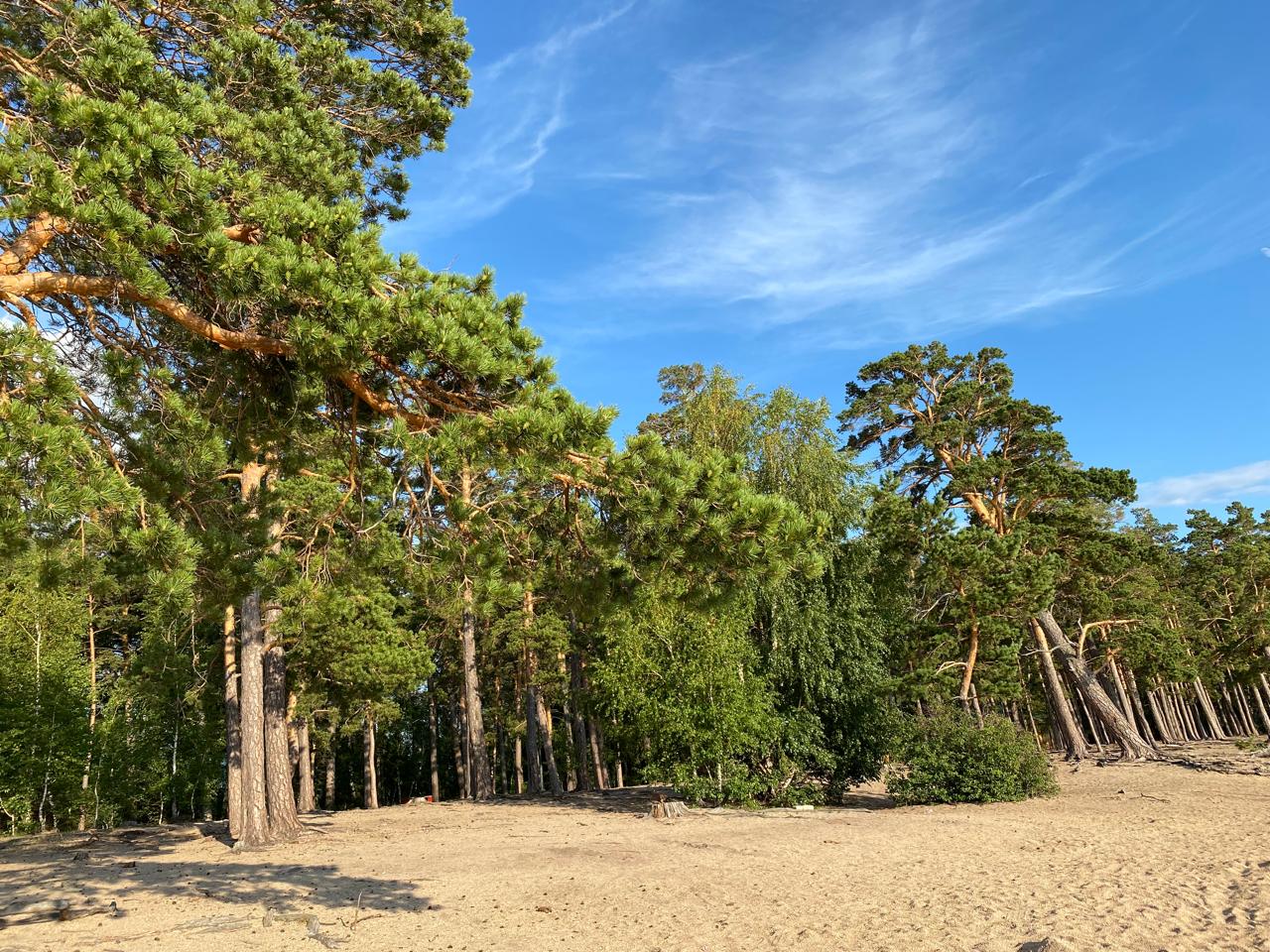 Павлодар облысында 2,1 млрд теңгенің жері мемлекетке қайтарылды