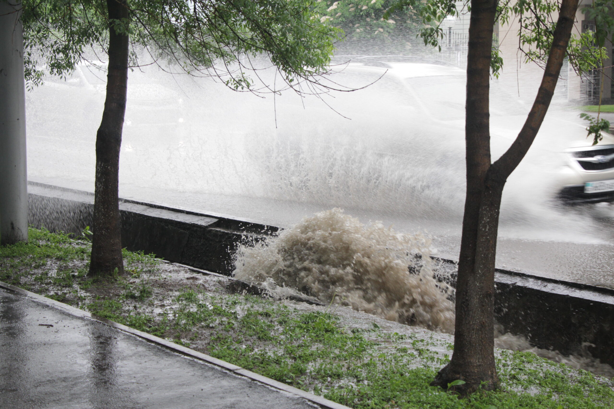 Бұршақ, екпінді жел, қар: 10 сәуірде ауа райы күрт салқындайды