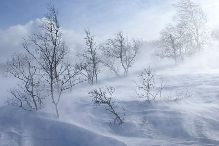 Бірнеше өңірде дауылды ескерту жарияланды