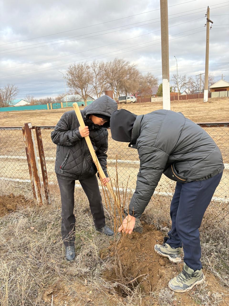Ақтөбе облысында көгалдандыру жұмыстары жүргізілмек