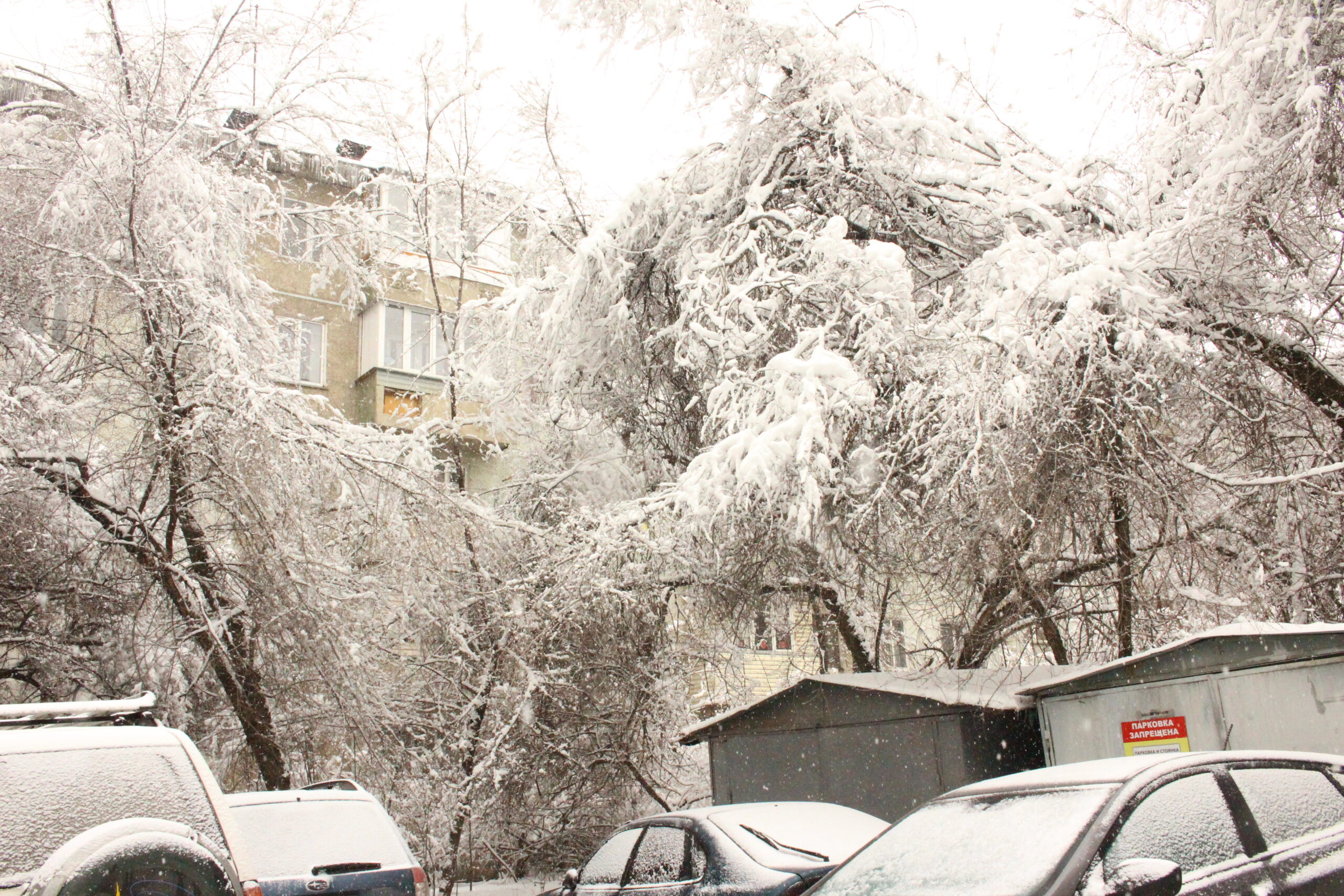 Қазақстанның басым бөлігінде тұман басып, қар жауады