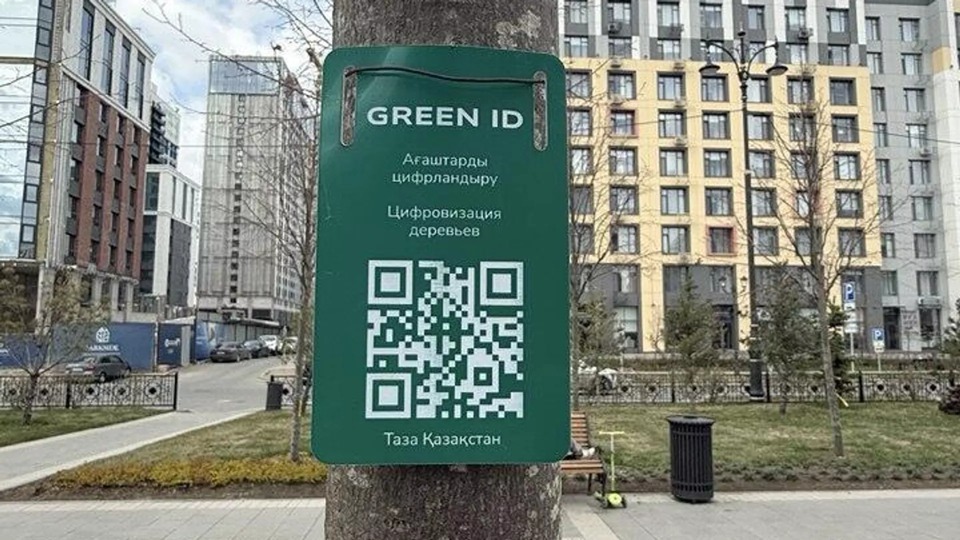 Астанада ағаштарға QR код ілінеді