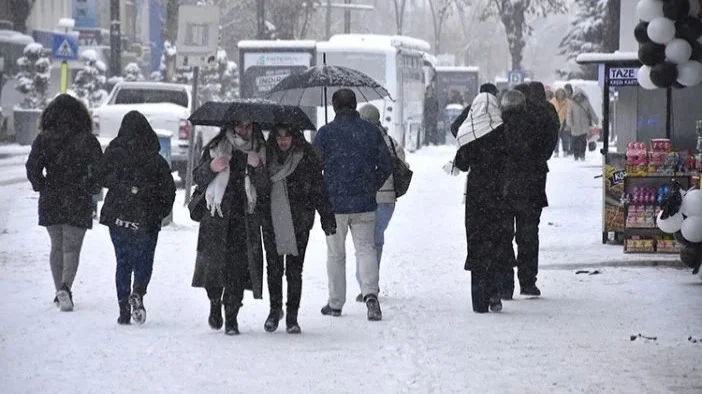 Түркияда үсік жүріп, шаруалар әбігерге түсті