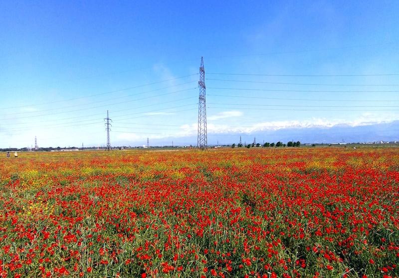 Мамыр айында қазақстандықтар қанша күн демалады