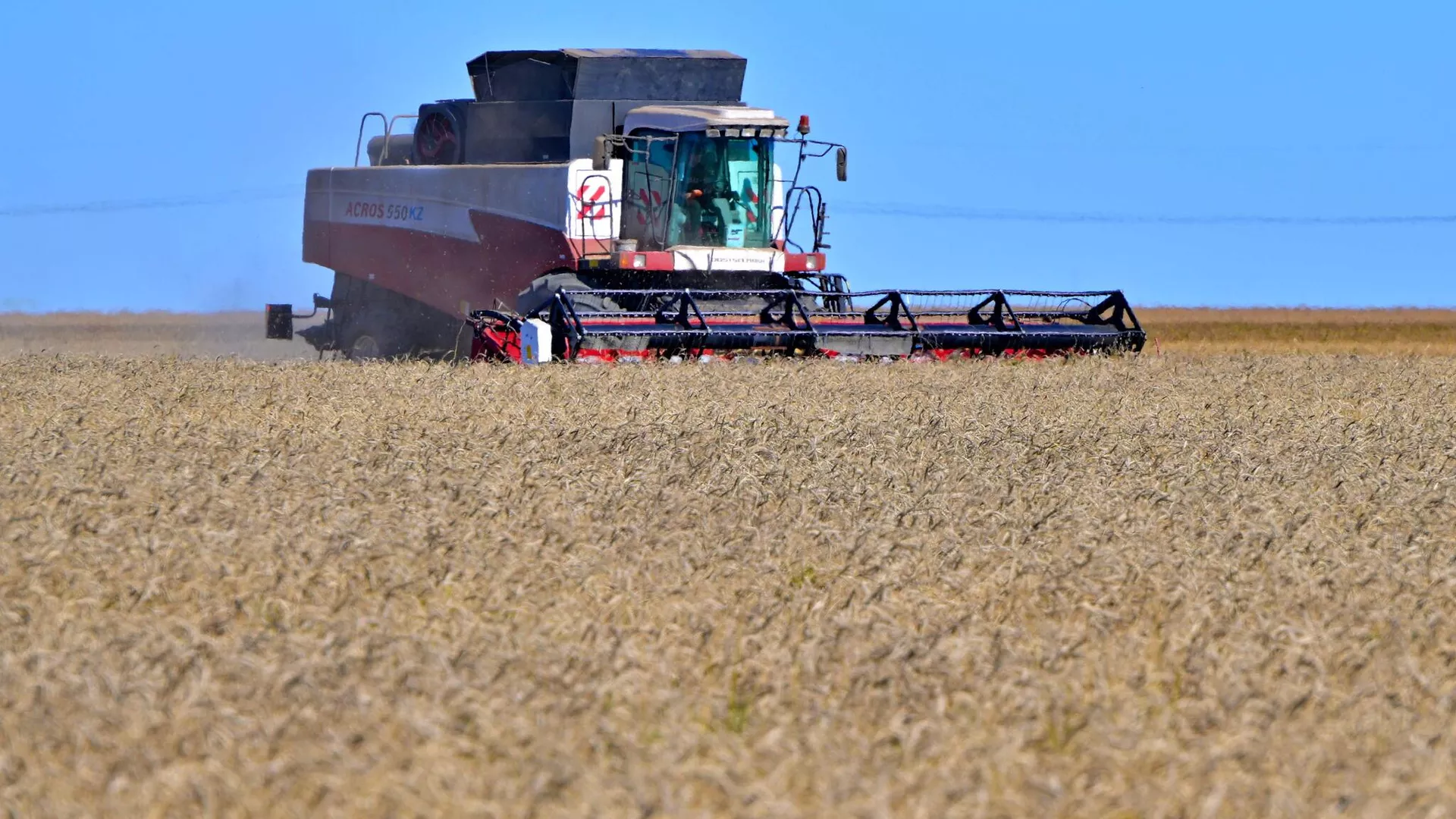Қазақстан бидайы Вьетнамға экспортталды