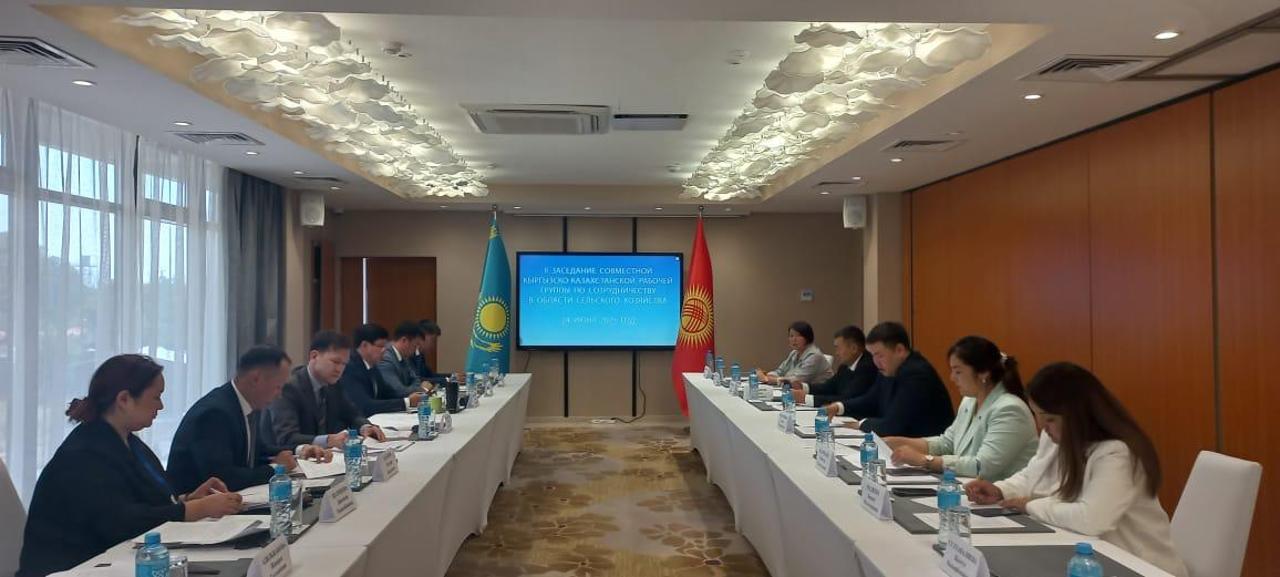 Қазақстан мен Қырғызстан шекара маңындағы агроөнімдер саудасын жандандырмақ