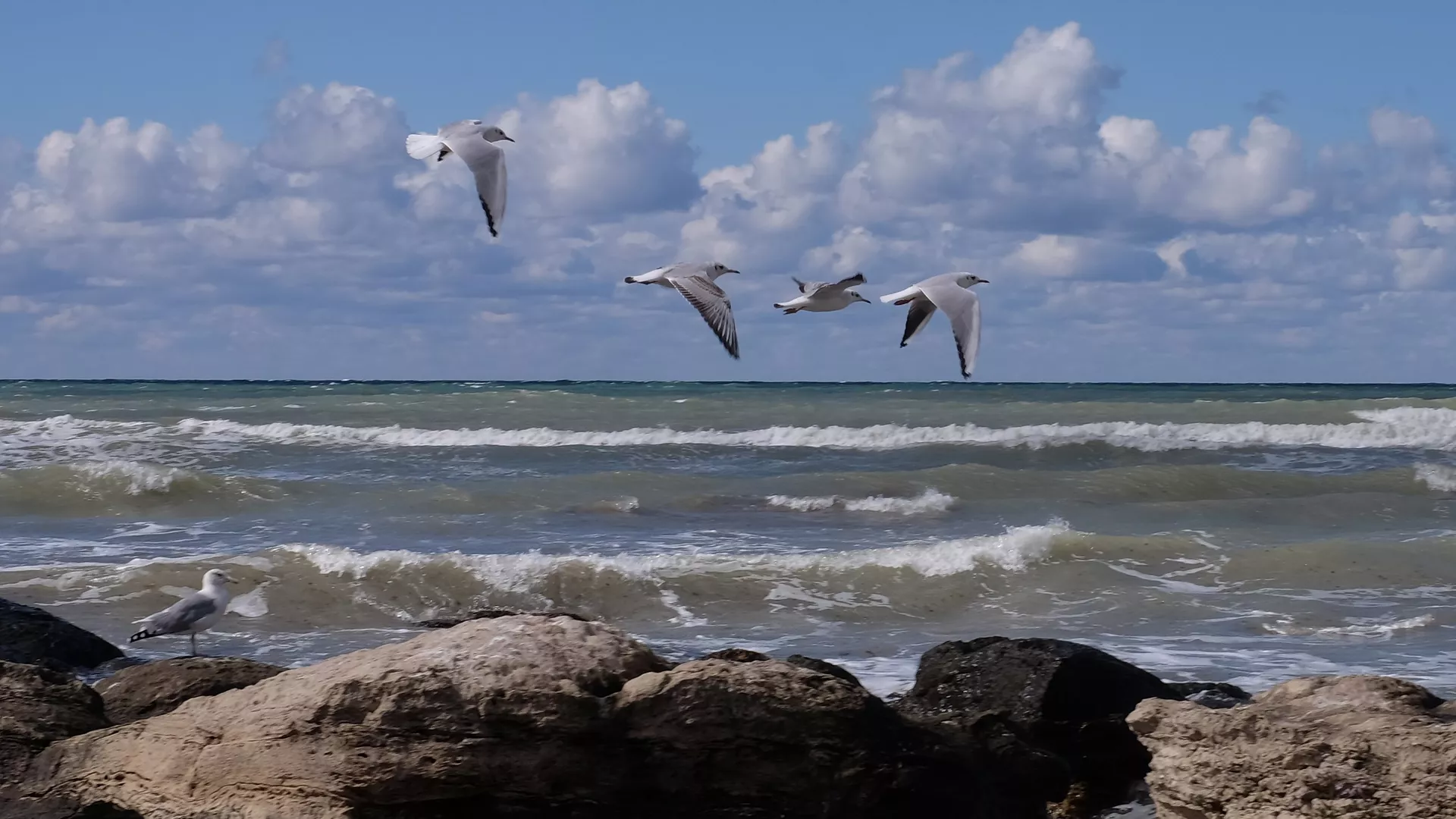 Каспийдің таяздану мәселесін халықаралық деңгейде шешу ұсынылды