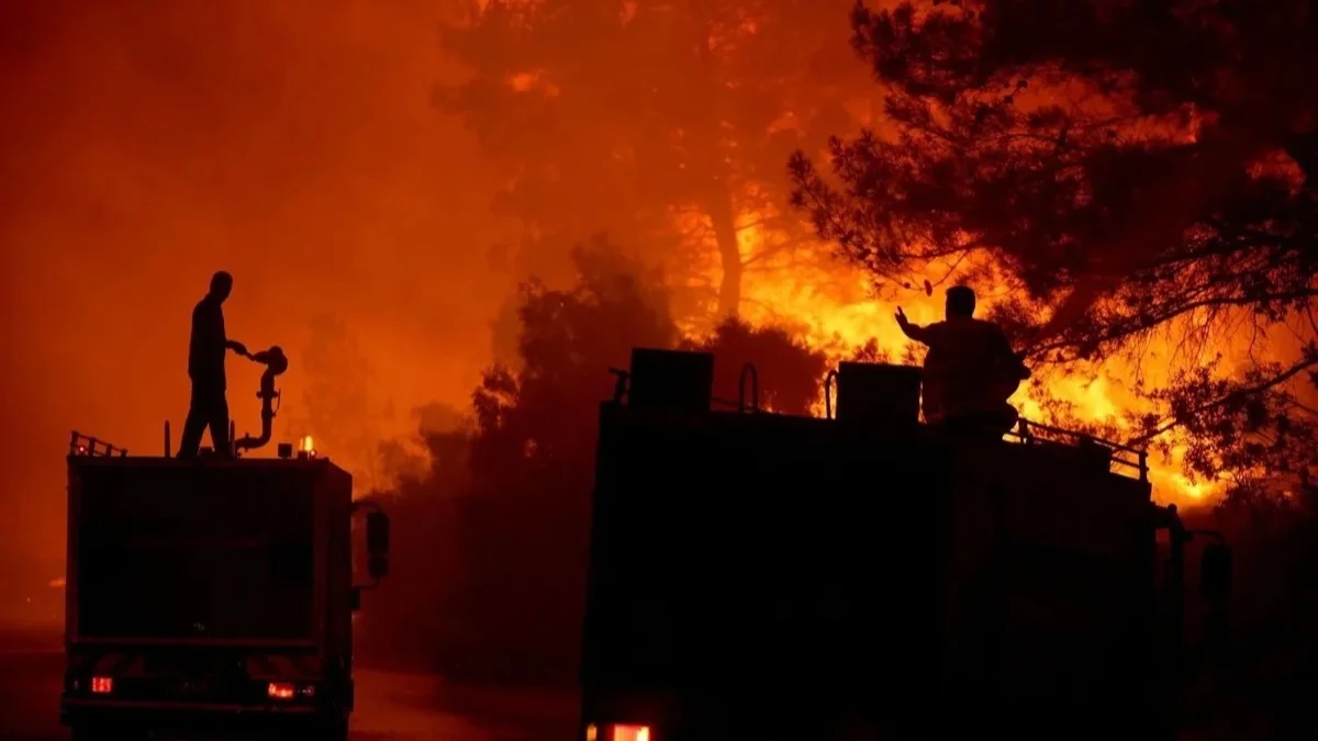 Кипр соңғы 50 жылдағы ең үлкен орман өртімен күресіп жатыр