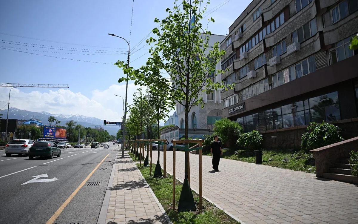 Алматыда күзде 53 мың түп ағаш отырғызылады