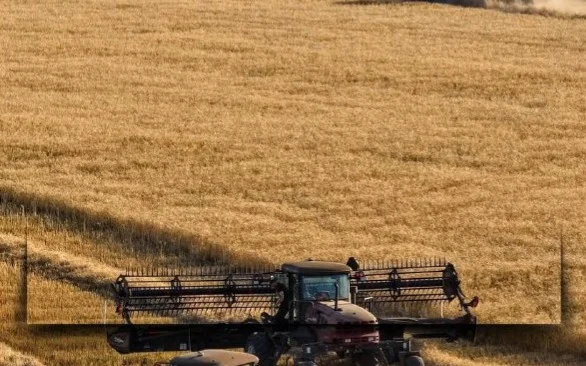 Биыл 24 млн тонна астық бастырылады