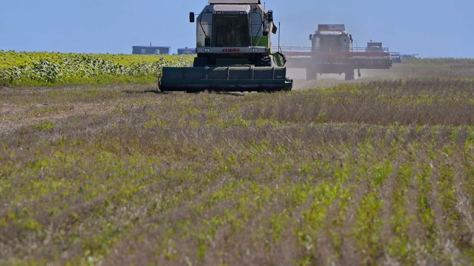 Қазақстанда 9 млн тоннаға жуық астық бастырылды