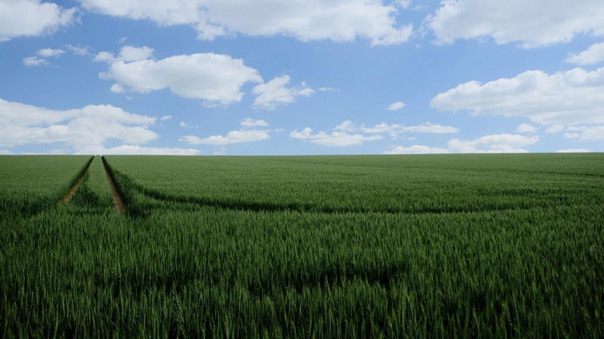 Екінші деңгейлі банктер дихандарға жеңілдетілген несие беретін болады