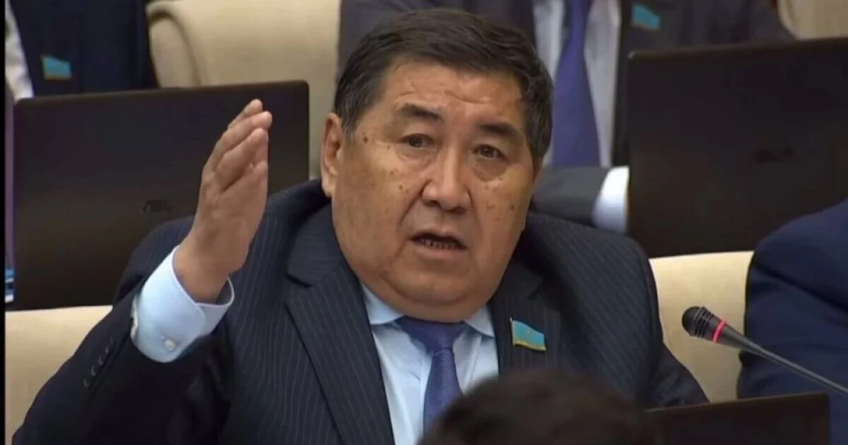 "Парламенттік реформаға ыждаһатпен белсене араласуымыз керек!" - Ермұрат Бапи