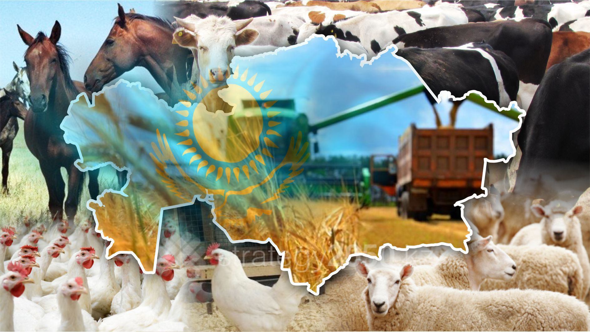 Өзіміздікі