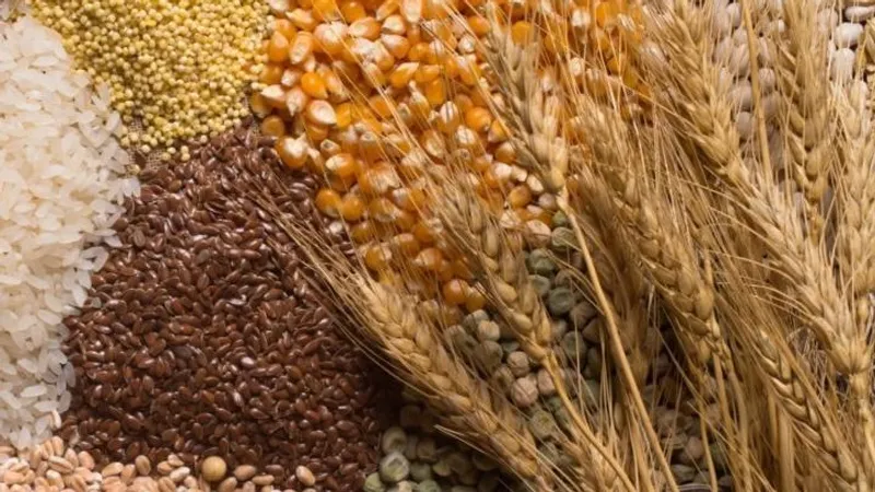 Қазақстанда қамбаға келіп түскен астықтың тең жартысына жуығы жоғары класқа жатпайды