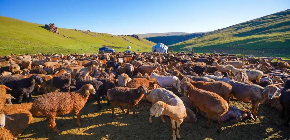 Мария Швецованың жалаңаш суреттері