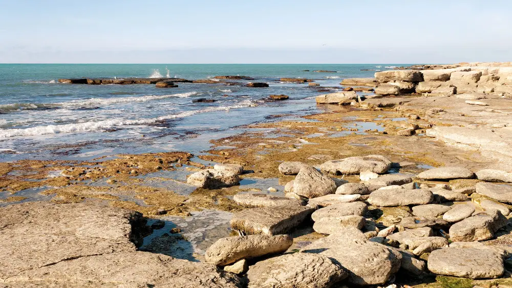 Каспий теңізі тартылып барады: Тоқаев түркі мемлекеттеріне үндеу жасады