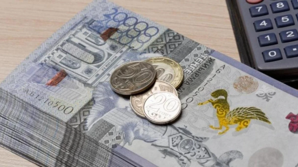 Мүгедектік пен асыраушысынан айырылу жәрдемақылары көбейді