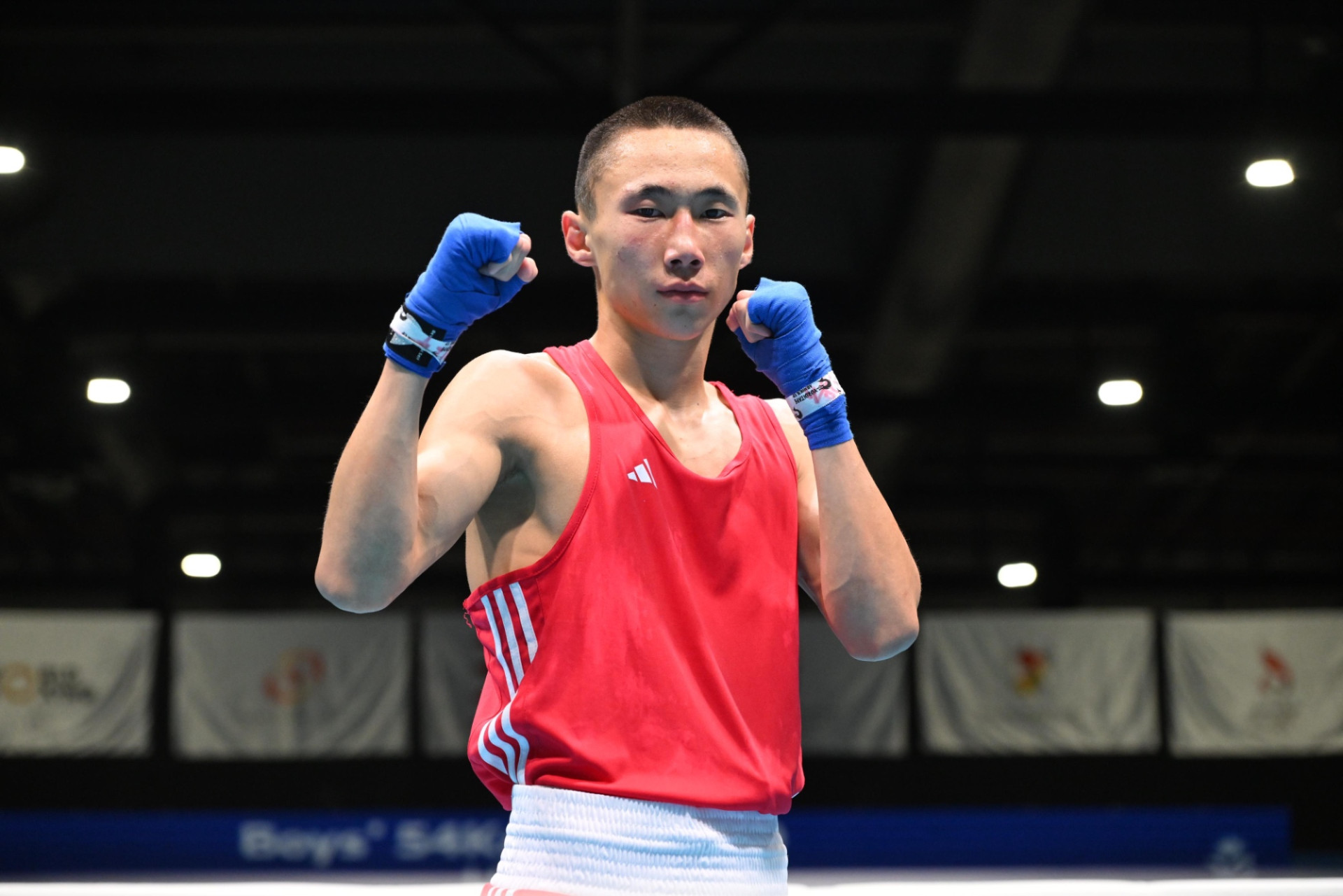 Жолбарыстың көйлегі порно