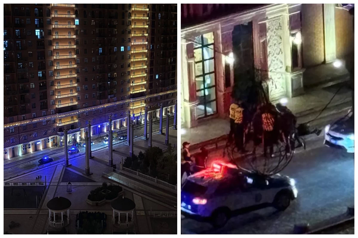 Мишель Мерсиердің жалаңаш фильмографиясын онлайн көріңіз Сериялық секс суреттері