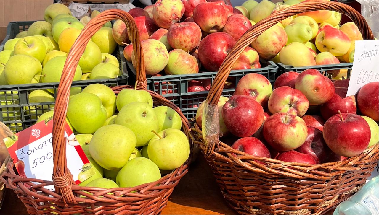 Алматы облысының фермерлері Алматыға 200 тоннадан астам өнім апарады