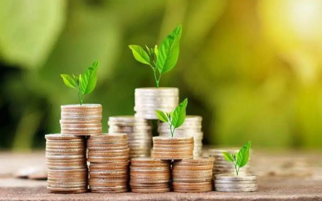 Қарашаның ортасында шаруаларға револьверлік кредит беру басталады