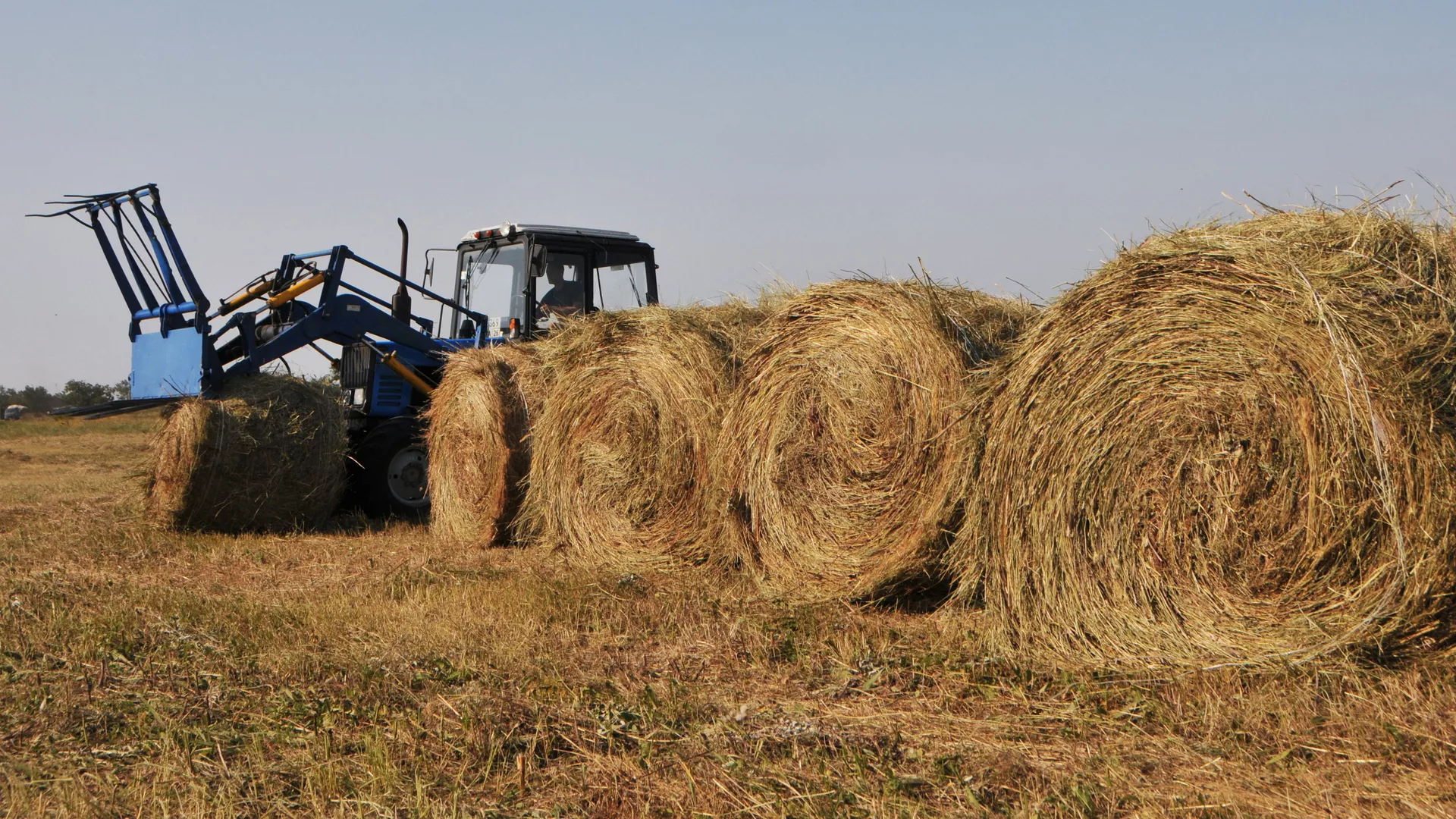 Биыл қанша мал азығы жиналды