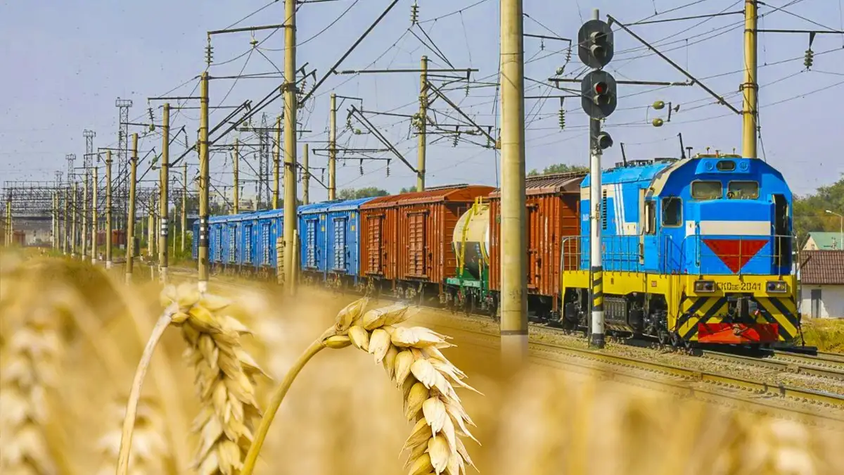 Қазақстан астығы неге Қытай шекарасынан өте алмай жатыр