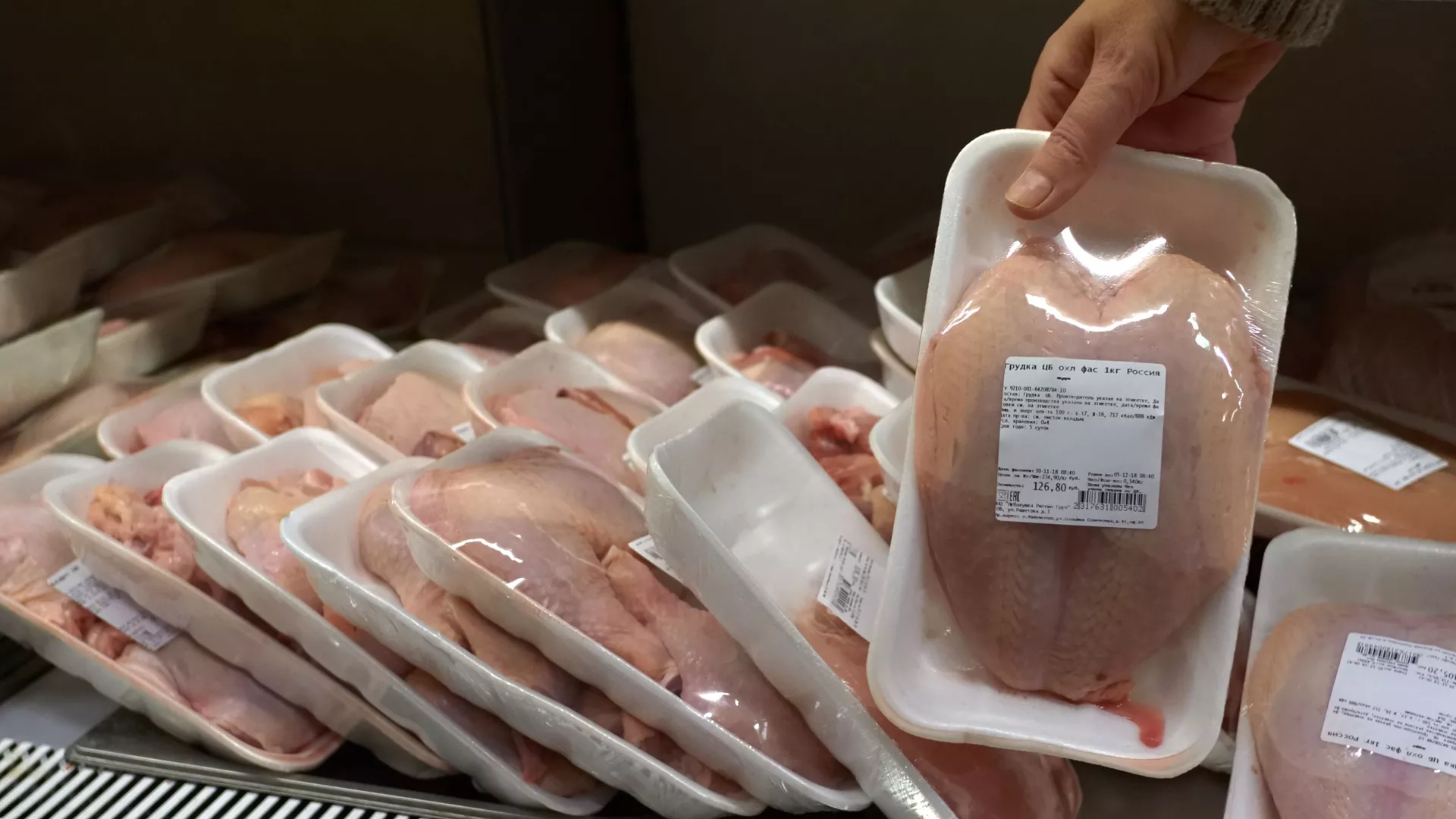 Жетісуда 14 млрд теңгеге құс фабрикасы салынады