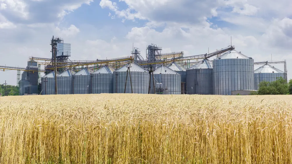 Президент заманауи элеваторлар салу қажет екеннін айтты