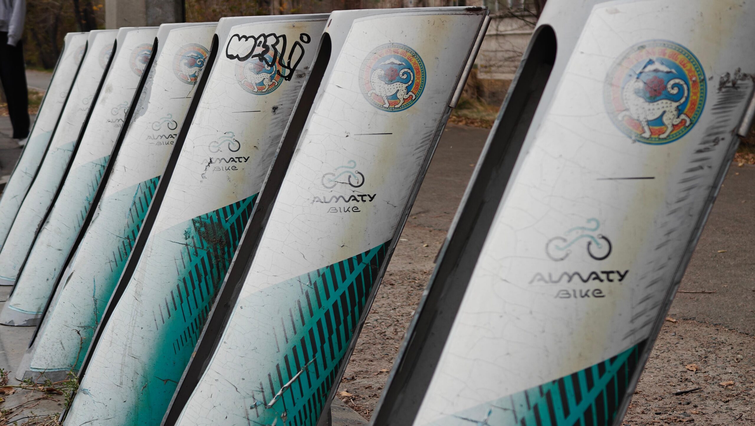 Желге ұшқан миллиардтар: Алматының экологиялық символы болған «алтын велосипедтер» қайда кетті? 