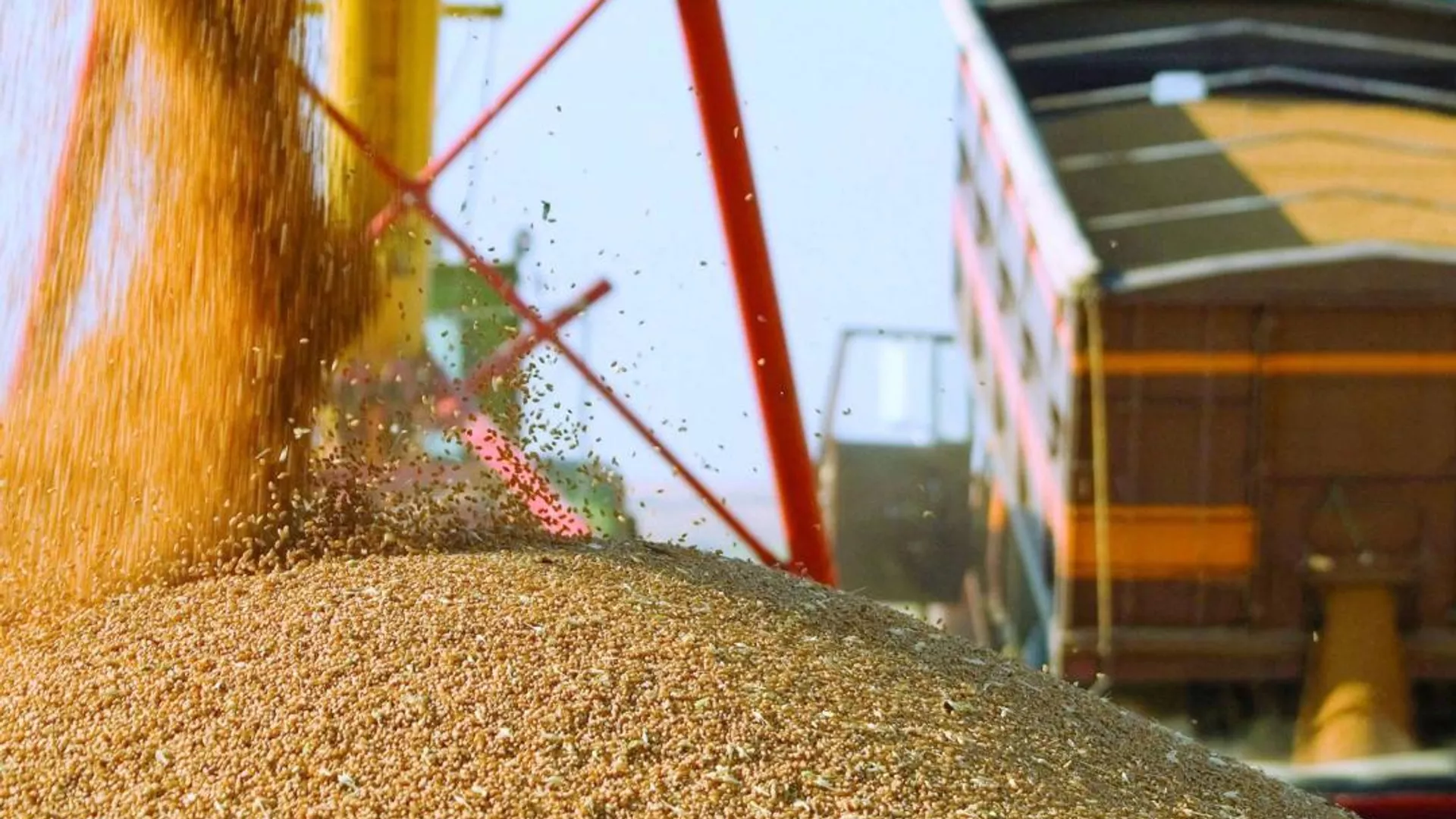 Ауыл шаруашылығы өнімдерінің жалпы көлемі 6,1%-ға ұлғайды