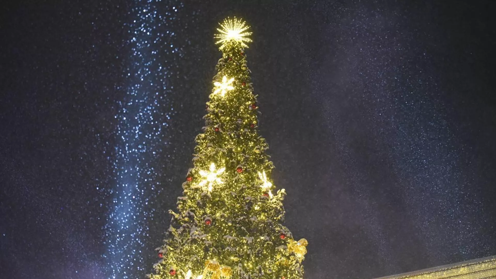 Алматыда бас шыршаның шамы жағылды