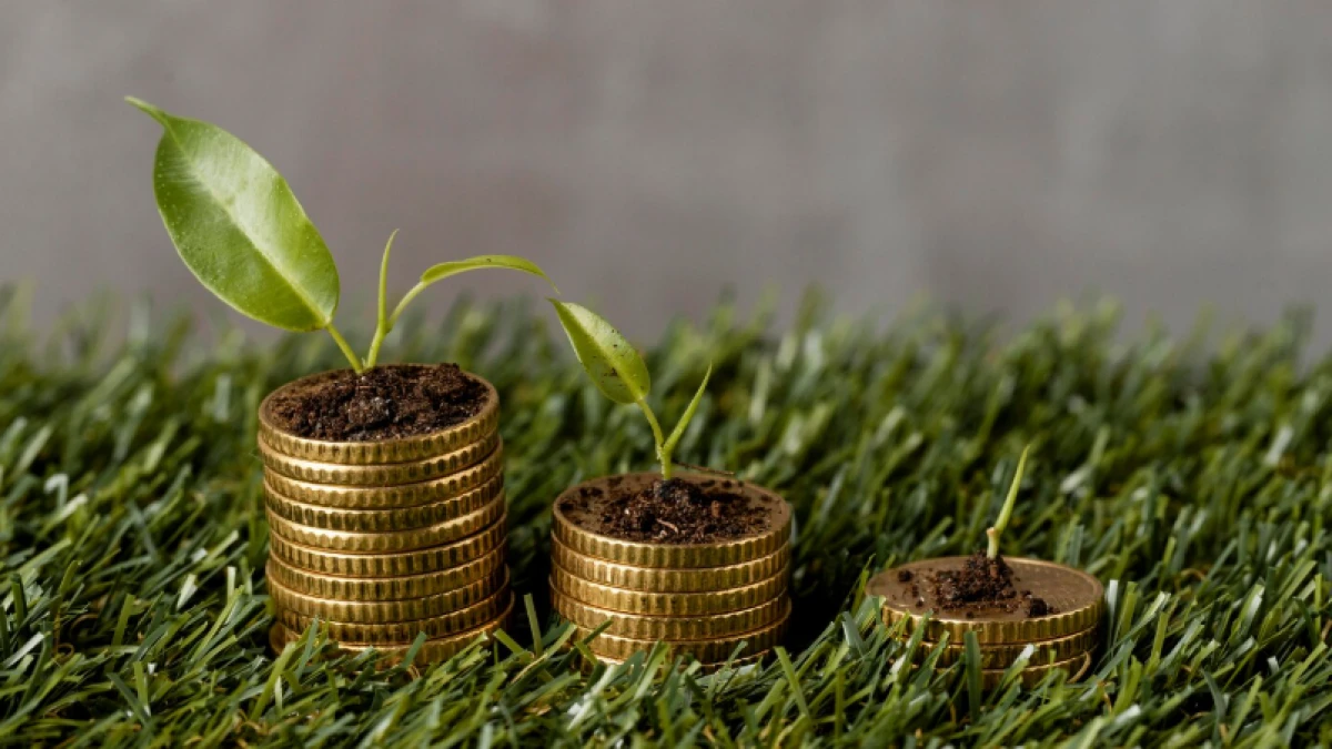 1000-нан астам шаруа ерте қаржыландыруға өтінім берді