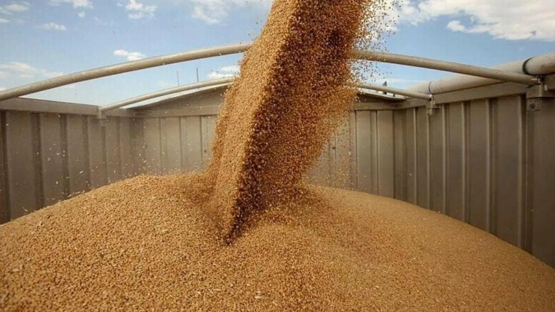 Астық экспорттаушылар жаңа өнімді ерте жөнелтсе, 2026 жылы субсидия алады