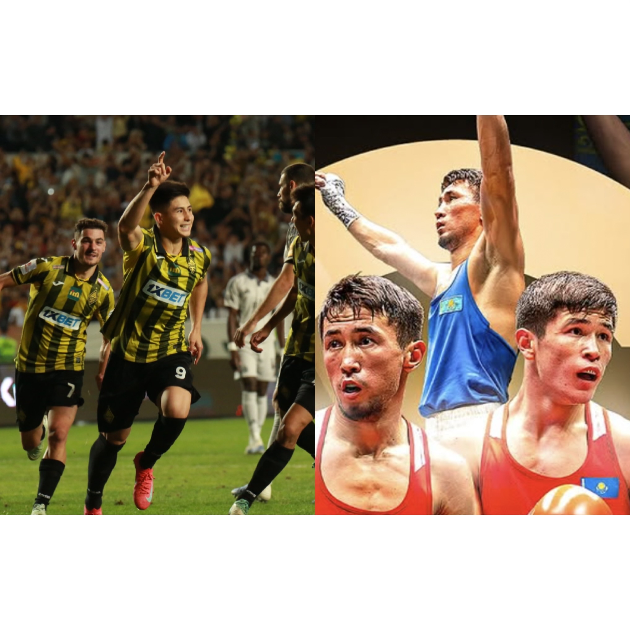 Жыл қорытындысы: Ел спортындағы жарқын сәттер