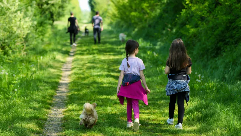 2025 жылы Қытай халқы 3,39 млн адамға азайды