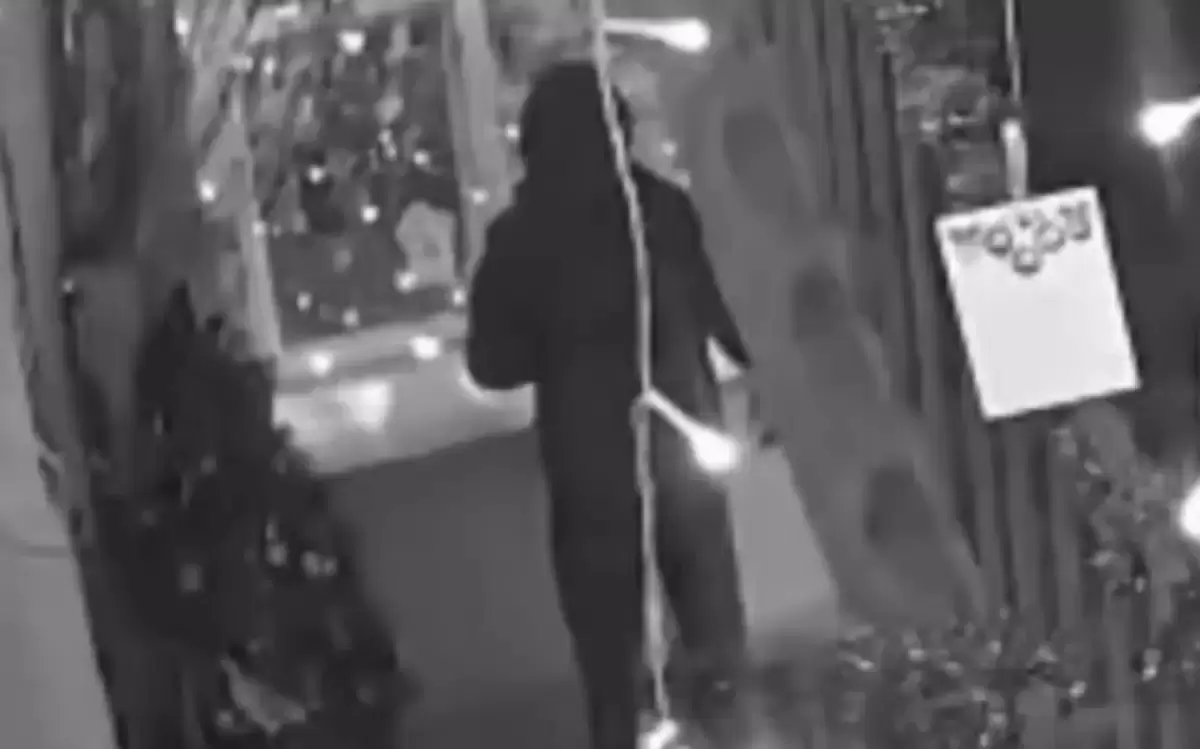 Теміртауда шыршаны өртеген ер адам қамауға алынды