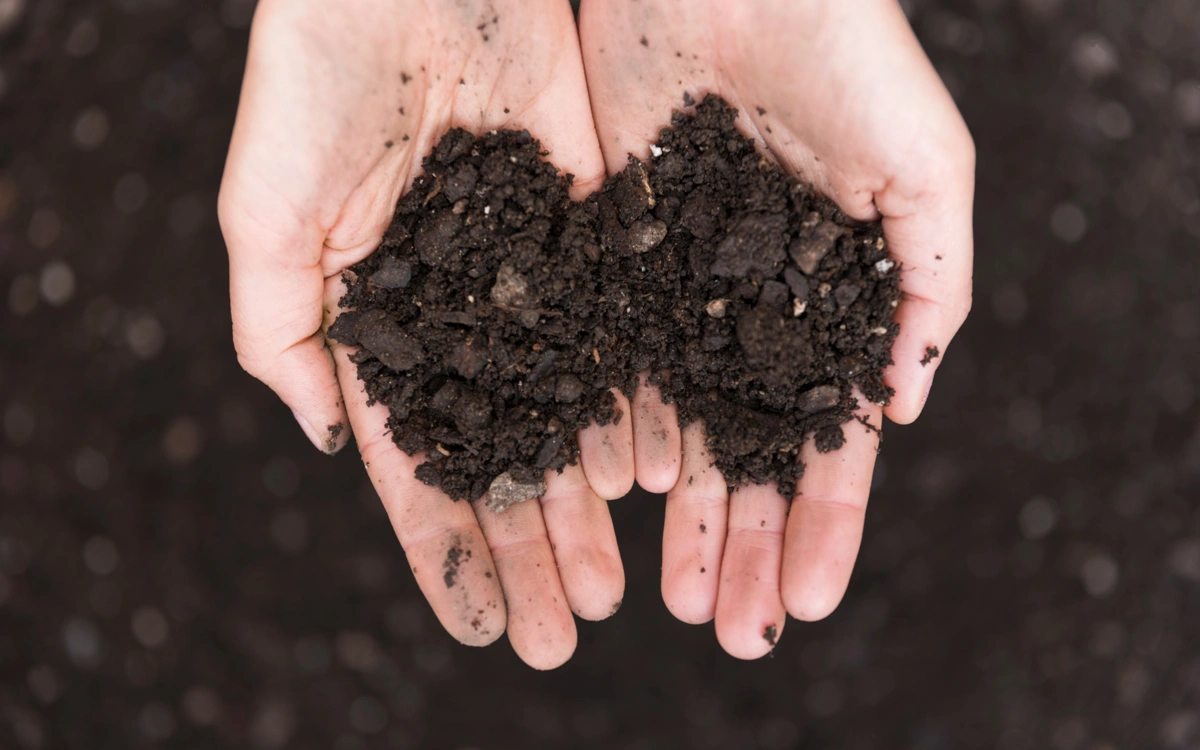 Алдағы 3 жылда 17 млн гектар жердің құнарлылығы тексеріледі