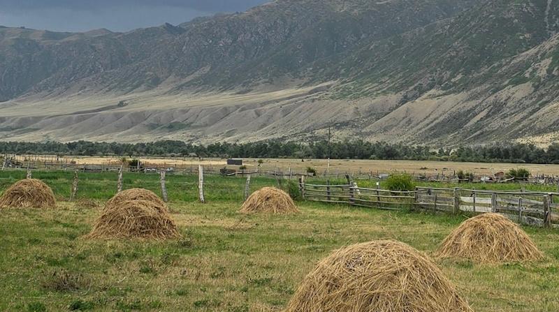 Алдағы 3 жылда 17 млн гектар жердің құнарлылығы тексеріледі