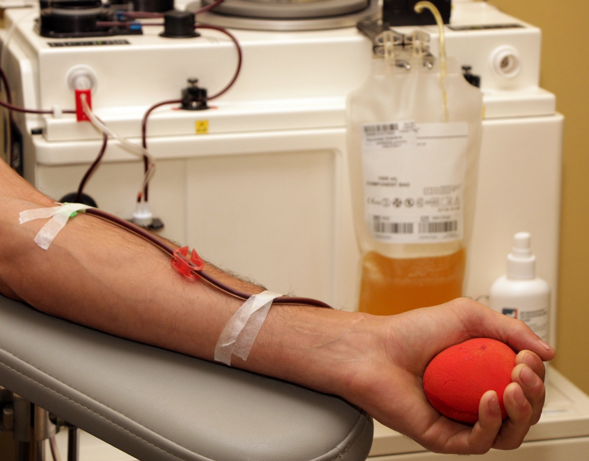 Елде 4 506 адам донорлық ағза кезегінде тұр