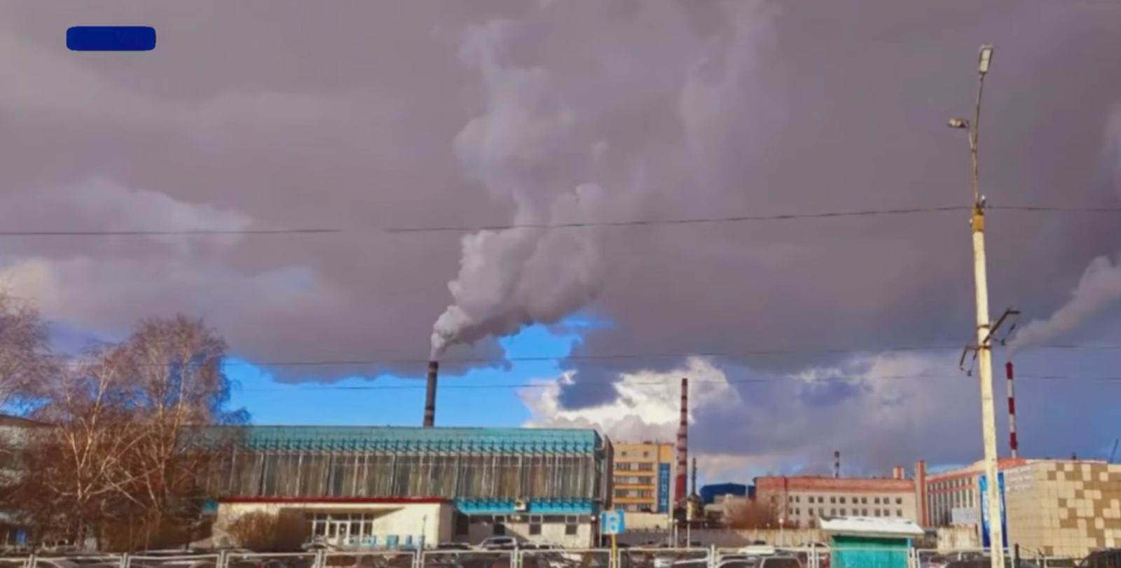 Лас ауаның құны: Экология мен экономика арасындағы парадокс