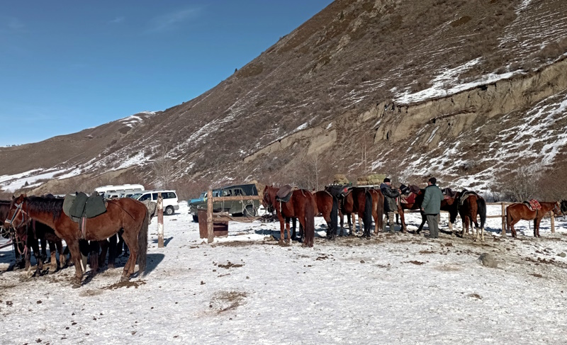 Фермерлер малды етке өткізсе, мемлекеттен бөлінген субсидияны қайтарады