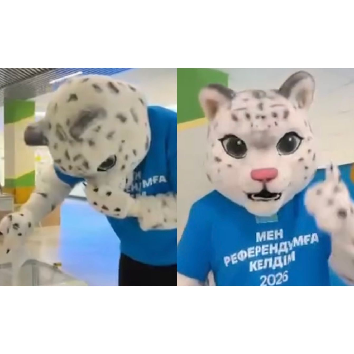 Алматы барысы Әділет референдумда «дауыс берді»