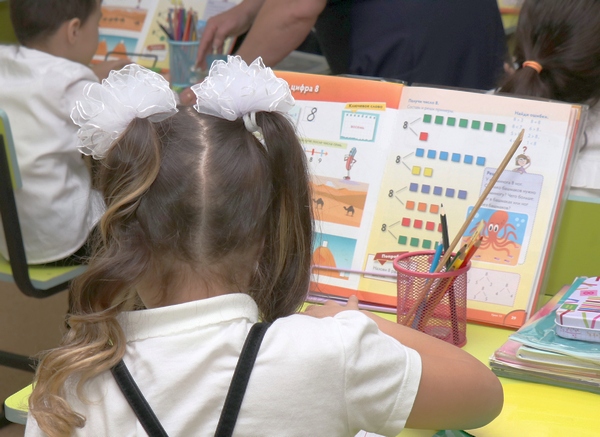 Жұмыста жүйе жоқ, педагогтерді әбден шатастырып, миларын ашытып бітті - қоғам белсендісі оқу-ағарту министрлігі туралы