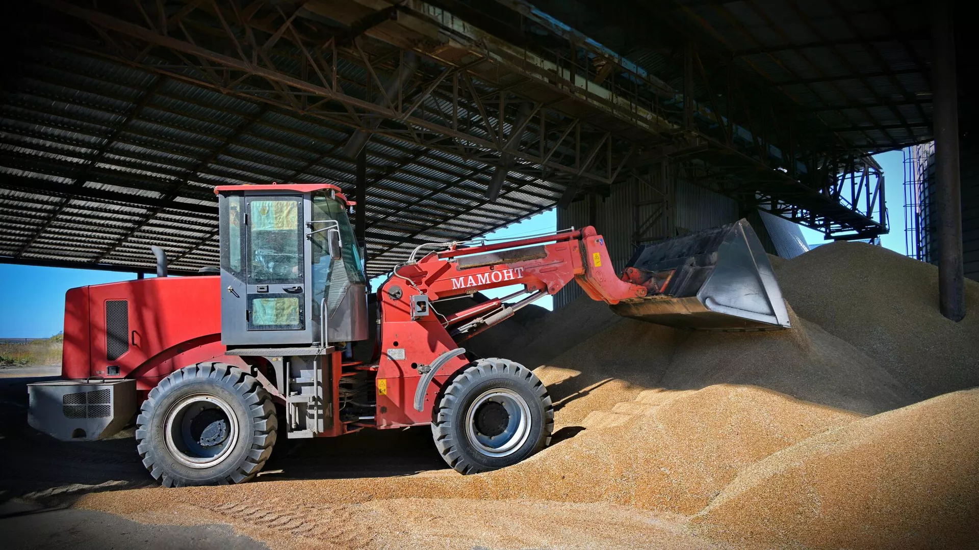 Ақмола облысында астықты терең өңдеу зауыты салынады