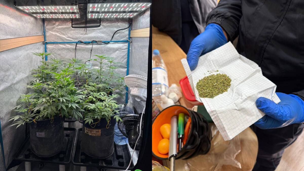 ШҚО-да жасырын есірткі зертханасының қызметі тоқтатылды