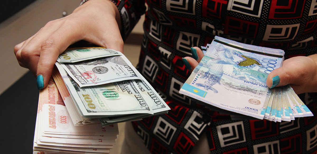 Түркия еліміздің ауыл шаруашылығына 400 млн доллар инвестиция құйған