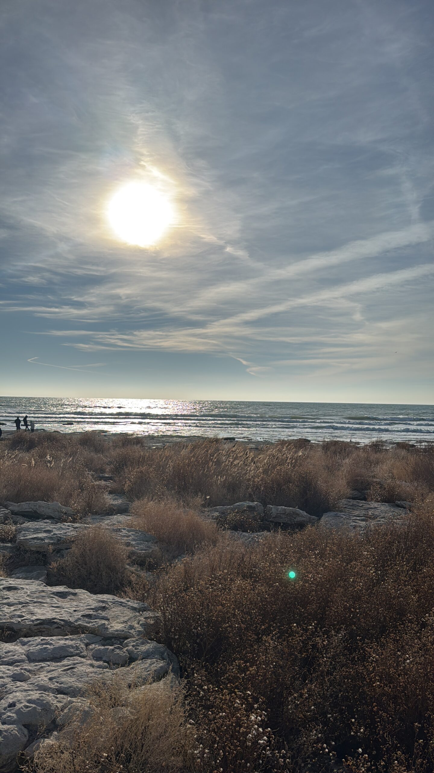 Түркістан облысында суға батып кеткен баланың денесі табылды